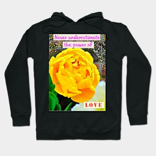 Never underestimate power of love Hoodie